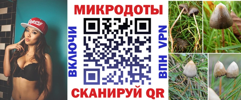 Псилоцибиновые грибы Psilocybe  Нерехта 